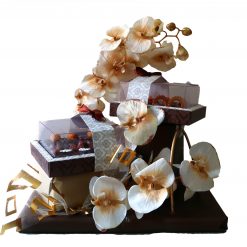 עיצוב פטיפורים